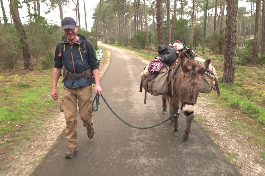 “We’re like a couple, we know each other by heart.”  The incredible journey of Gauthier and his donkey on the roads of France